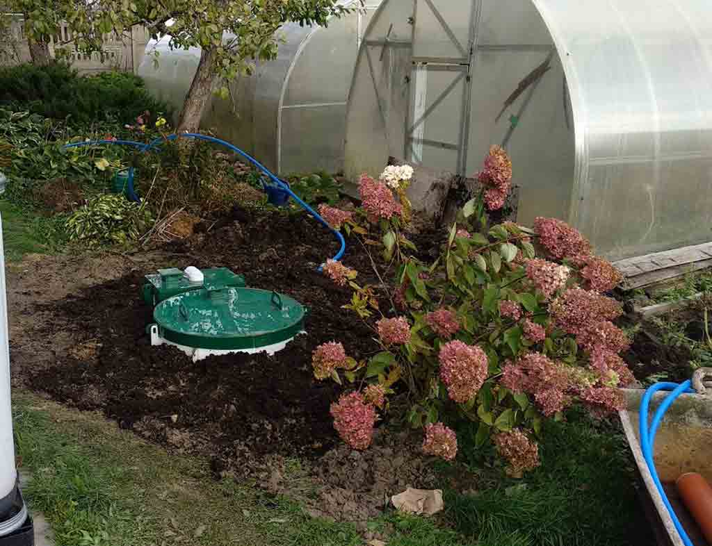 Биодевайс Эко 3